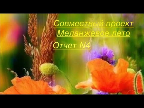 Видео: СП Меланжевое лето. Отчет 4. #меланжевоелето