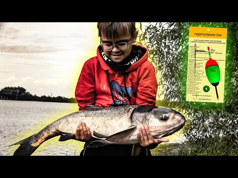 Видео: Толстолобик дал жару всему пруду