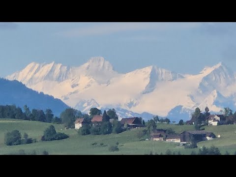 Видео: 🌲Охотничьи угодья в Альпах 🏔