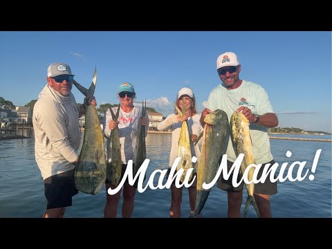 Видео: Мы никогда не ловили махи-махи так! — Махи-мания в Дестине, Флорида! Dophinfish — махи-махи