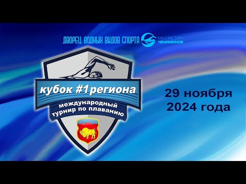 Видео: 29.11.2024 Международный турнир по плаванию "Кубок #1 региона"