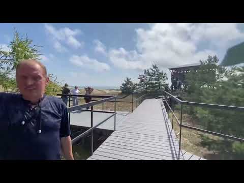Видео: День 7. Куршская коса: орнитологи, танцующий лес, дюна Эфа. Обзорка по Зеленоградску. #калининград 