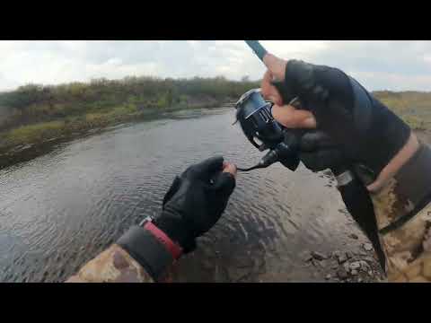 Видео: Рыбалка в НАО на реке Великая, сентябрь 2024