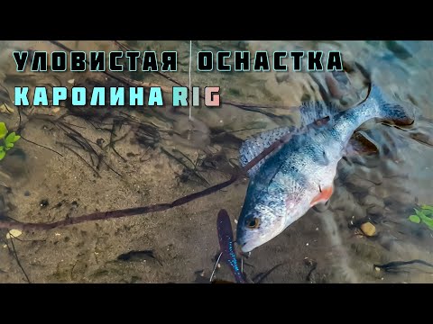 Видео: КАРОЛИНСКАЯ ОСНАСТКА В ДЕЛЕ! УЛОВИСТАЯ ДЖИГОВАЯ ПРОВОДКА и ЛОВЛЯ ОКУНЯ, рыбалка осенью в ноябре 2020