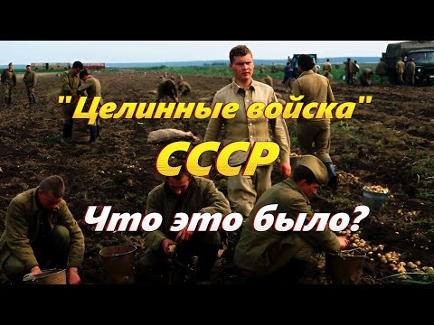 Видео: Спецназ для советских колхозов