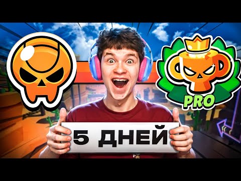 Видео: МОЙ НОВЫЙ ПРОЕКТ: С НУЛЯ ДО ПРО РАНГА ЗА 5 ДНЕЙ 🤯