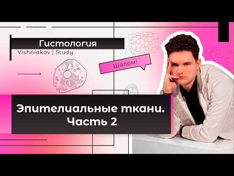 Видео: Гистология | ЭПИТЕЛИАЛЬНЫЕ ТКАНИ. Часть 2