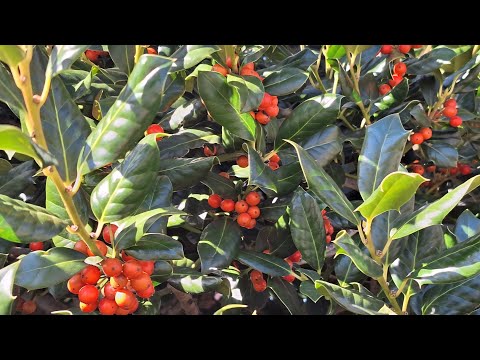 Видео: Последняя смена на работе, коллеги Хорошие - буду скучать, а может ещё  получится подработка здесь 🤔