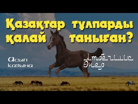 Видео: Бәйге \ Асыл қазына \ Тай жарыс