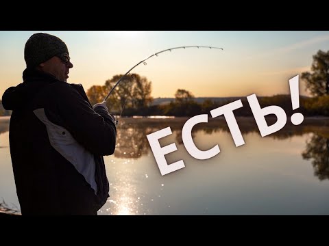 Видео: Воблеры или джерки? Рыбалка на спиннинг на реке Зай. Отличное настроение и погода