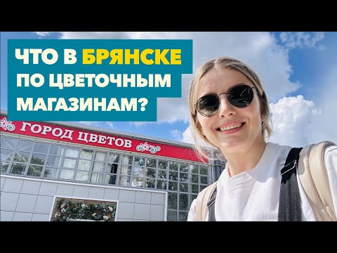 Видео: Обзор комнатных растений в ОБИ, Город цветов, Флорина » Июль 2025