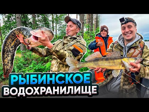 Видео: Достойная рыбалка на Рыбинском водохранилище. Поймали сома. Рыбалка троллингом и в заброс. Рыбинка.