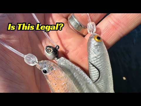 Видео: Должно ли это приспособление для рыбалки быть законным?