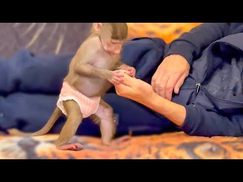 Видео: Смотреть как Люська с Владом делят кедровые орешки можно вечно)))