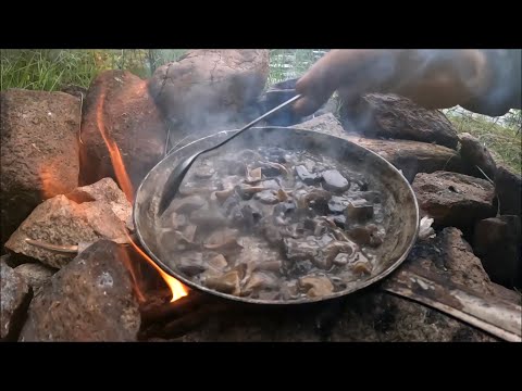 Видео: Жареная картошка с грибами. Витькина кухня