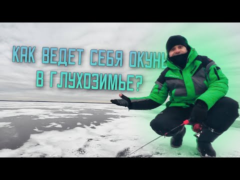 Видео: ПОИСК ОКУНЯ в конце ЯНВАРЯ | Если рыбалка не оправдала НАДЕЖД , НИКОГДА не унывай - это твой опыт !