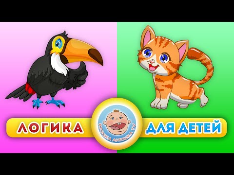 Видео: Животные: котята и Птицы - Логика для детей - Развивающие мультики