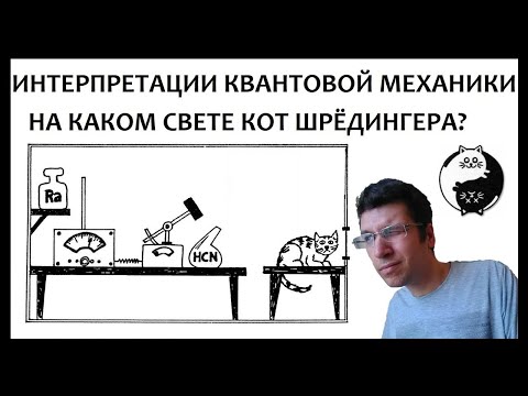 Видео: Интерпретации квантовой механики: копенгагенская против многомировой | Кот Шрёдингера и друг Вигнера