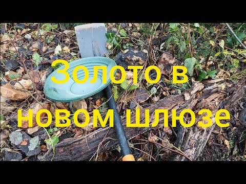 Видео: Золото в Новом шлюзе