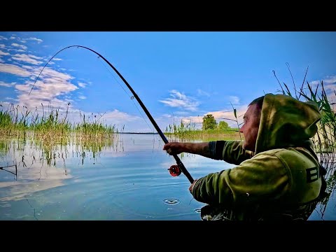 Видео: Вудки тріщать по швам від РИЖИХ ВЕЛЕТНІВ!!!