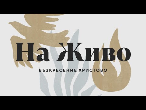 Видео: Неделно богослужение / 02.11.2025 (цялата служба)