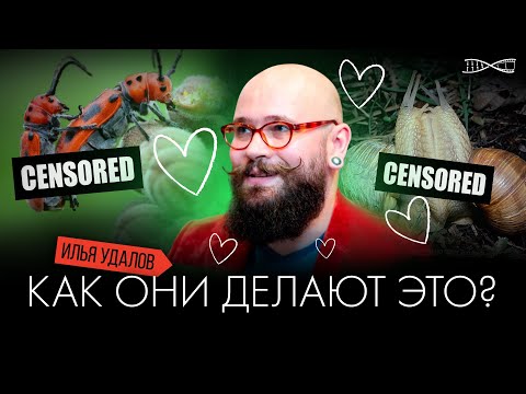 Видео: Илья Удалов с лекцией «Как они это делают?»