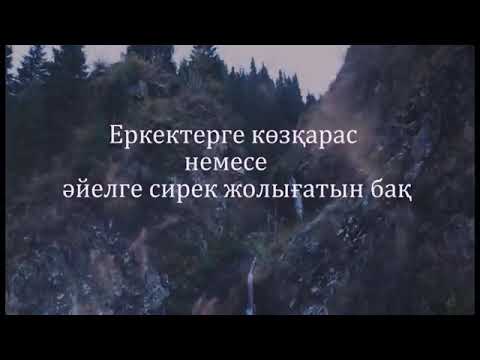 Видео: "Мұхтар Шаханов: Еркектерге көзқарас немесе әйелге сирек жолығатын бақ" - тамаша олен жолдары екен