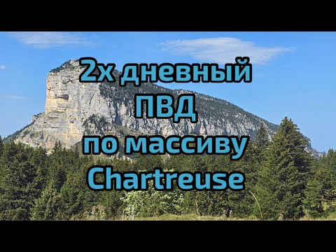 Видео: Массив Chartreuse 2х дневный пвд