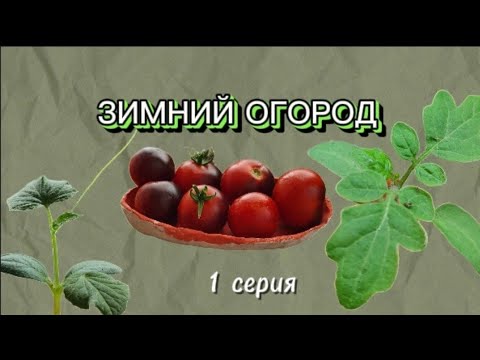 Видео: Зимний огород | 1 серия