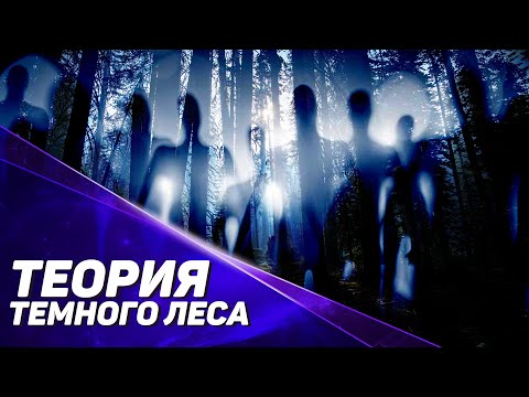 Видео: Что такое теория Тёмного леса?