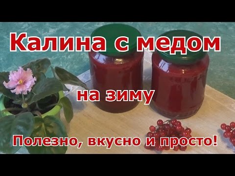 Видео: Протертая калина с медом на зиму  Очень полезно, вкусно и просто