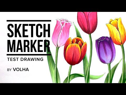 Видео: Sketchmarker test drawing #6 / Рисую маркерами Sketchmarker тюльпаны