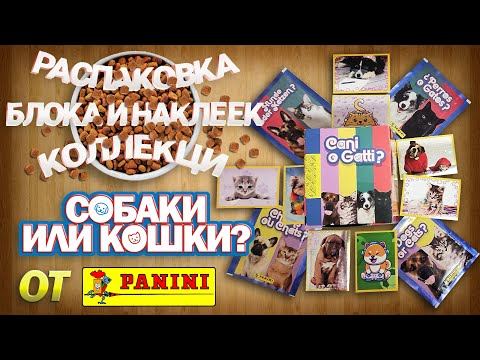 Видео: Большая распаковка блока и наклеек из коллекции от Panini "Собаки или кошки?"