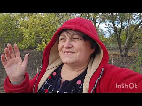 Видео: 21 октября 2025 г.