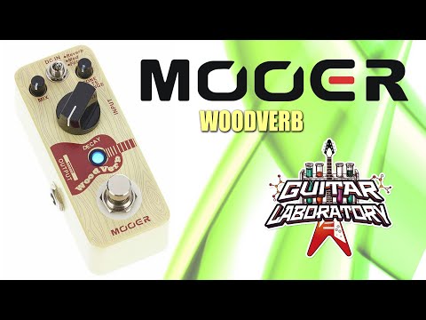 Видео: Мини-педаль реверберации для акустической гитары MOOER WoodVerb