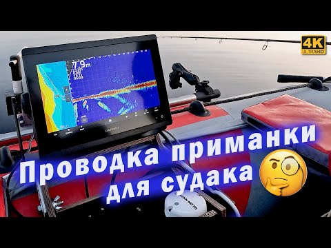 Видео: Проводка приманки для пелагического судака. Рыбалка с Panoptix Livescope