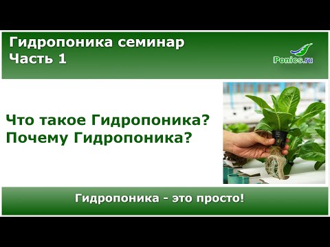 Видео: 🌱 Гидропоника семинар. Часть 1. 🌱 Что такое гидропоника? Почему гидропоника?