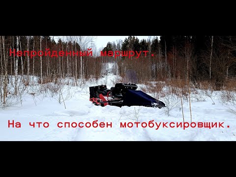 Видео: Непройденный маршрут/На что способен мотобуксировщик/Зимнее бездорожье.