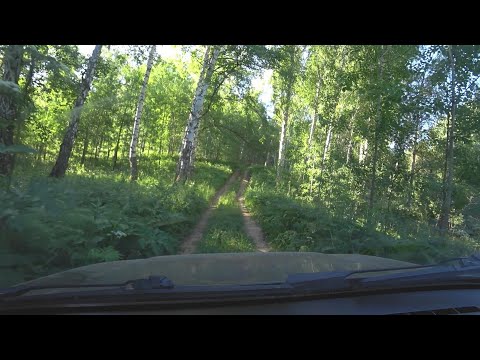 Видео: Рыбалка на Томи в начале июля