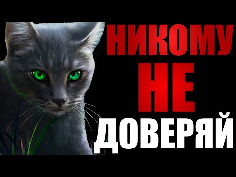 Видео: Экспресс обзор восьмого цикла | Коты-Воители