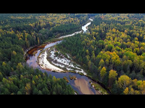 Видео: РЕКА МЕЧТЫ в Тайге. Ночные приключения в лесу. р.Белый Лух