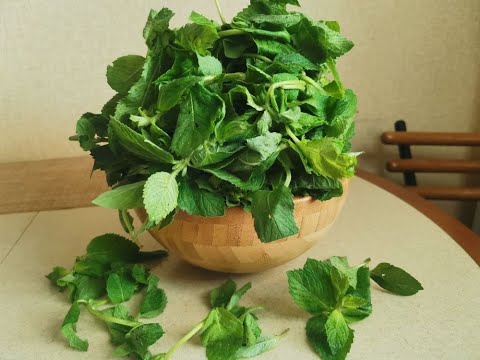 Видео: САМАЯ ЛУЧШАЯ ЗАГОТОВКА МЯТЫ С СОХРАНЕНИЕМ АРОМАТА//ВЕДЬ ЕЁ МОЖНО И НЕ СУШИТЬ//САМЫЙ ЛУЧШИЙ СПОСОБ//