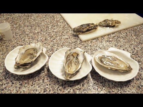 Видео: Устрицы требуют денег | БИЗНЕС-ПЛАН