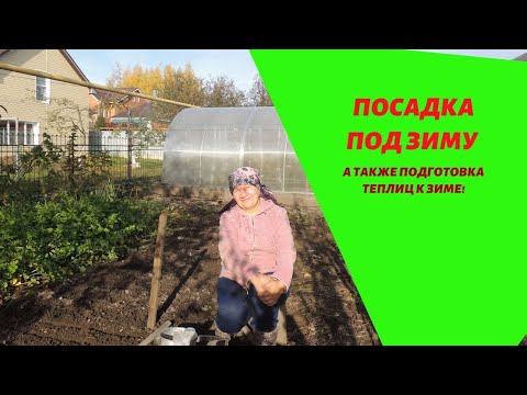 Видео: Посадка под зиму. А также подготовка теплиц к Зиме!
