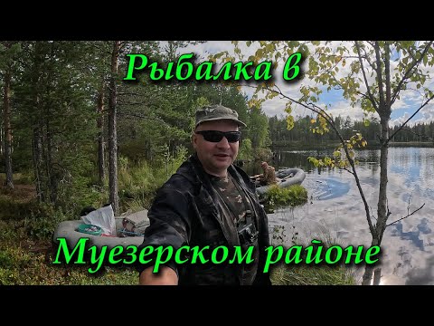 Видео: Удачная рыбалка на севере Карелии. Щуки на каждом забросе.