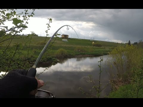 Видео: МАЛЫЕ РЕКИ УДИВЛЯЮТ В МАЕ!!! Спиннинг весной! Этот воблер ловит всё! Рыбалка на спиннинг!