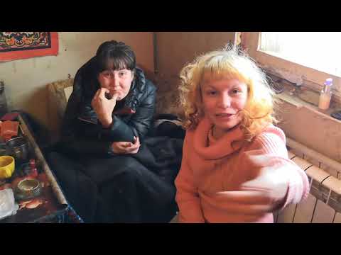 Видео: ДЕШЕВАЯ ПОВИДЛА