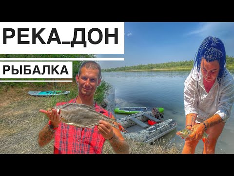Видео: Рыбалка на Реке Дон, Ловим Сомиков и Раков, Отдых на Реке Дон, Катаемся на Лодке
