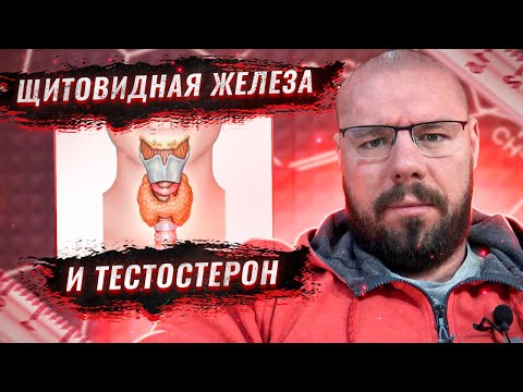 Видео: Почему сбой щитовидной железы рушит гормональный баланс: связь с половыми гормонами