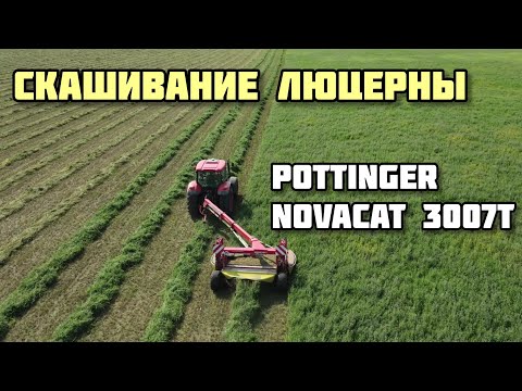 Видео: Скашивание люцерны 2021/Скошування люцерни Pottinger Novacat 3007T [4K]